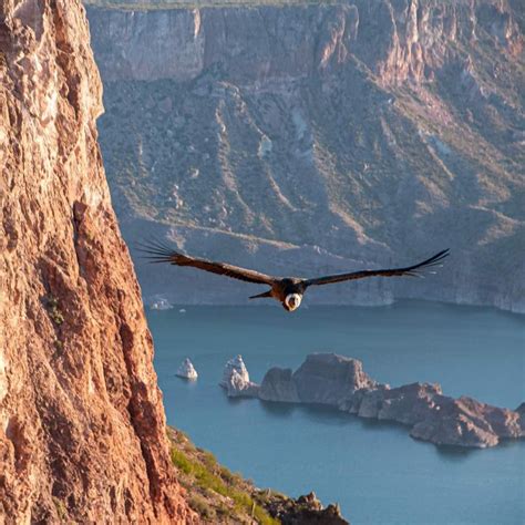 HEBE CASADO on Twitter Buen día A volar alto como los cóndores como