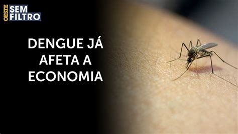 São Paulo decreta estado de emergência para a dengue YouTube