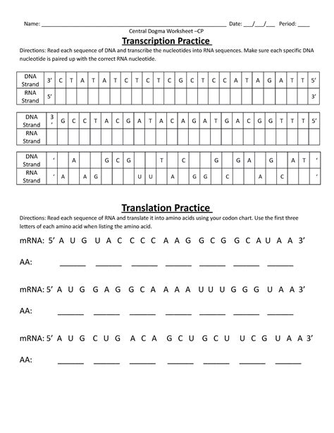 Transcription And Translation Worksheet Live Worksheets Worksheets