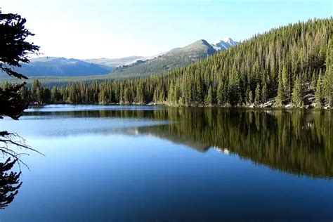 Bear Lake Colorado Camping: Campground, Amenities, and More - Lake Access