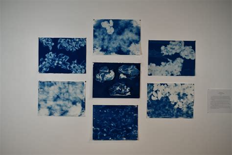 cyano show department  art  art history