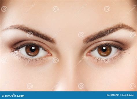 Brown eyes stock image. Image of clean, facial, natural - 49220741