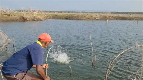 Incredble Big Size Rohu Fish Catching By Professional Fisherman