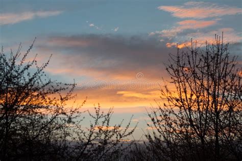 Splendid Fluffy Sunset Clouds and Branches Stock Image - Image of ...