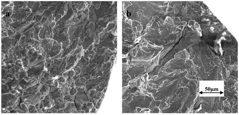 Stress Corrosion Cracking Of An Austenitic Stainless Steel In Nitrite