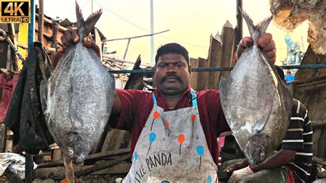 KASIMEDU SPEED SELVAM BLACK POMFRET FISH CUTTING IN KASIMEDU 4K