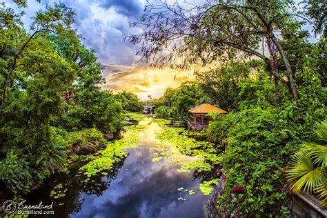 Sunset At Disneys Animal Kingdom Burnsland Archives