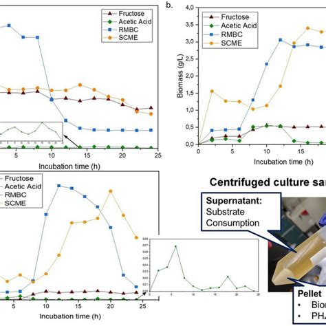 A Substrate Consumption G L⁻¹ B Bacterial Growth G L⁻¹ Dcw C Download Scientific Diagram