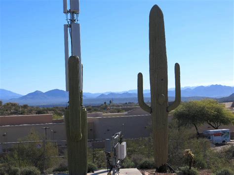 The Bizarre History Of Cellphone Towers Disguised As Trees Vox