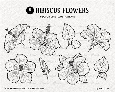 Hibiskus Svg Clipart Bundle Tropische Hawaii Blumen Etsy De