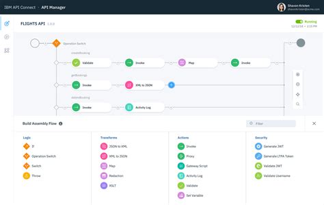 IF Design IBM API Connect