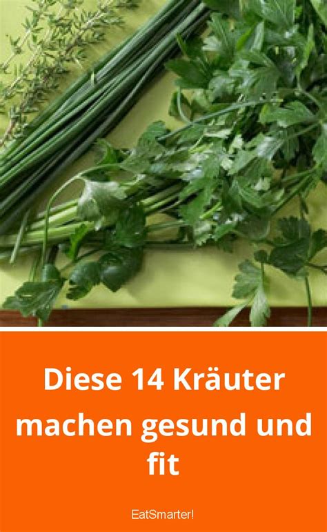 Diese 14 Kräuter machen gesund und fit EAT SMARTER