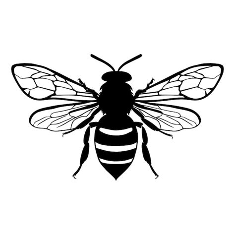 Silueta de abeja de miel aislada sobre fondo blanco icono ilustración