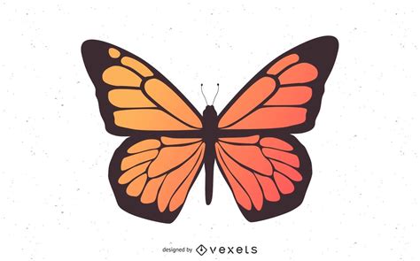 Vectores And Gráficos De Mariposa Para Descargar