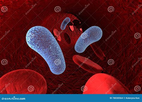 Bacteria In Blood Bacteriemia Stock Illustration Illustration Of