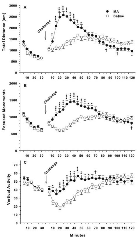 Effect Of A Neurotoxic Dose Regimen Of Methamphetamine On Behavior