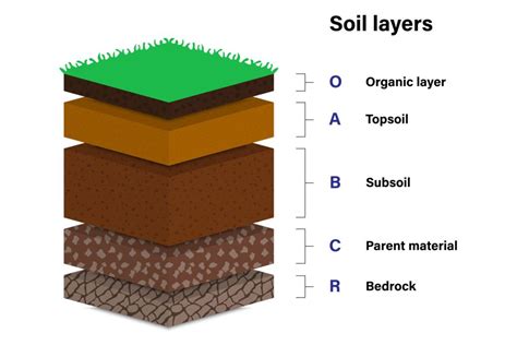 Unveiling The Different Soil Profiles Erizon