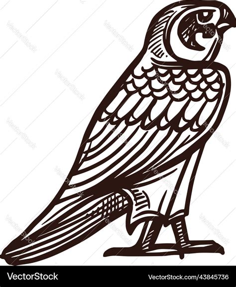 Ancient Egypt Horus Falcon Sacred Deity Sketch Vector Image