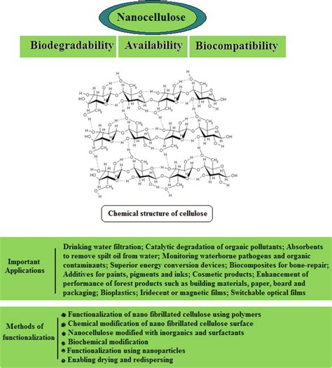 Nanocellulose and its important applications. | Download Scientific Diagram