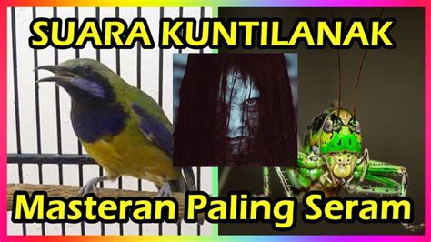 Pin On Kompilasi Masteran Burung