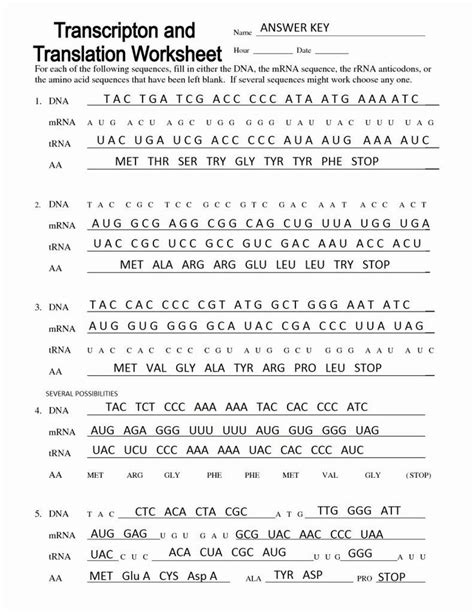 Protein Synthesis Practice Worksheet