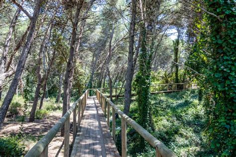 Il Salento E La Natura Itinerari Tra Parchi Riserve E Oasi