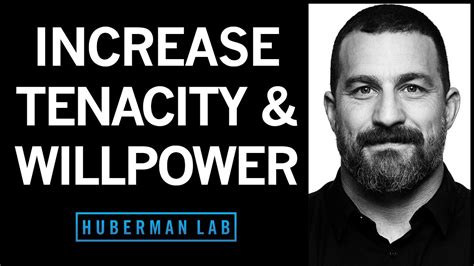 How To Increase Your Willpower Tenacity Huberman Lab Podcast YouTube