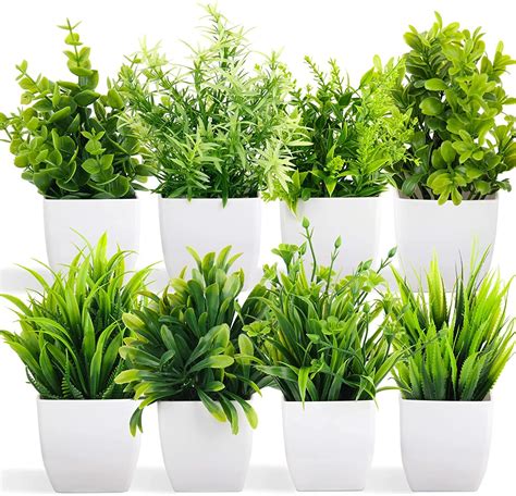 Buy Dekorly Artificial Potted Plants 8 Pack Artificial Plastic Eucalyptus Plants Small Indoor