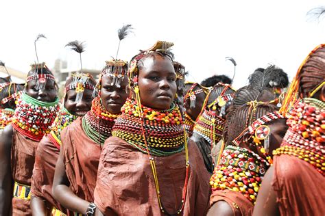 In The Cradle Of Mankind A Celebration Of Life Cn