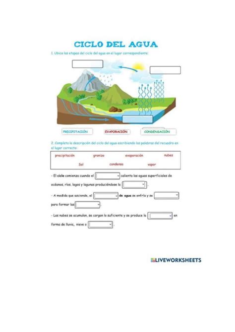 Ciclo Del Agua Docx Descarga Gratuita