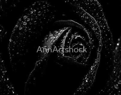 Blackrose Gothic Projects :: Photos, videos, logos, illustrations and ...