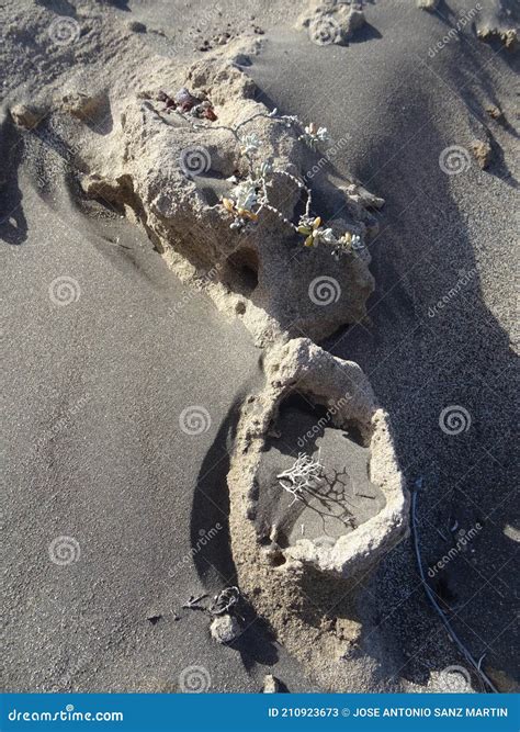 Beach Of El M Dano Tenerife Island Spain Stock Image Image Of