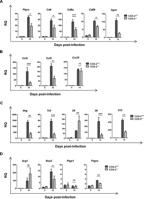 Gene expression of cell markers, chemokines, cytokines and inflammatory ...