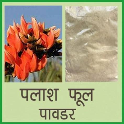 Butea Monosperma Palash Phool Powder Packaging Size 1 Kg Packaging