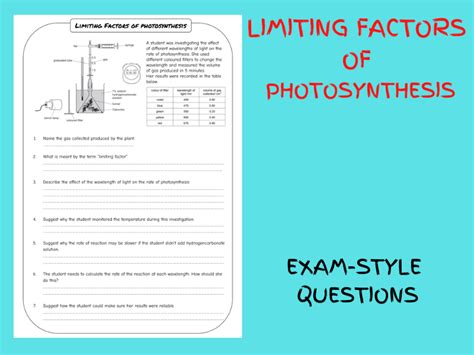 Limiting Factors Of Photosynthesis Worksheet With Exam Style Questions Teaching Resources