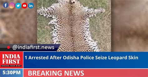 1 Arrested After Odisha Police Seize Leopard Skin India First E Newspaper