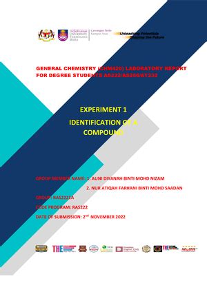 Chm Laboratory Report Hess S Law Laboratory Report Physical