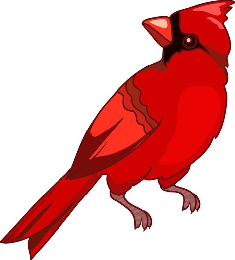 Cardinal Bird Northern Cardinal Vector Illustration Symbol Of