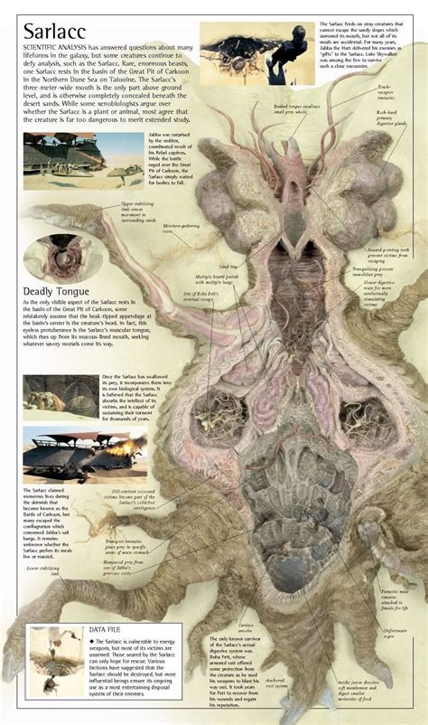 Actual Anatomy Of The Sarlacc Pit Star Wars Art Star Wars Characters