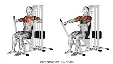 Chest Press Stock Illustrations, Images & Vectors | Shutterstock