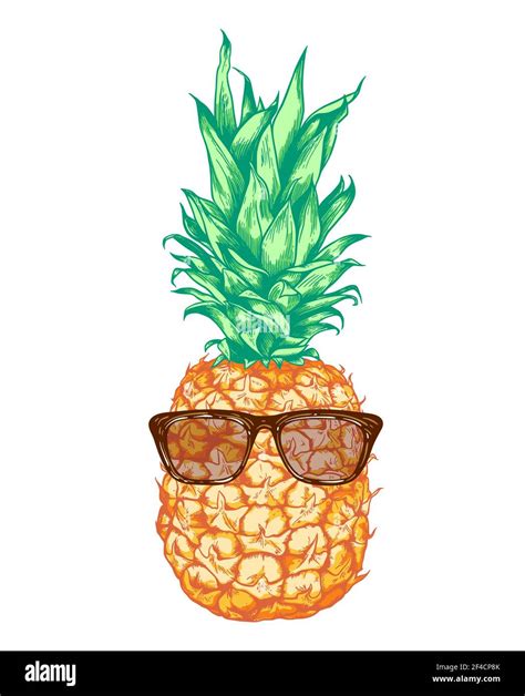 Hand Drawn Vector Pineapple In Sunglasses On A White Background Stock Vector Image And Art Alamy