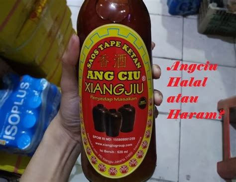 Angciu Halal Atau Haram, Ini Penjelasan Direktur Eksekutif LPPOM MUI