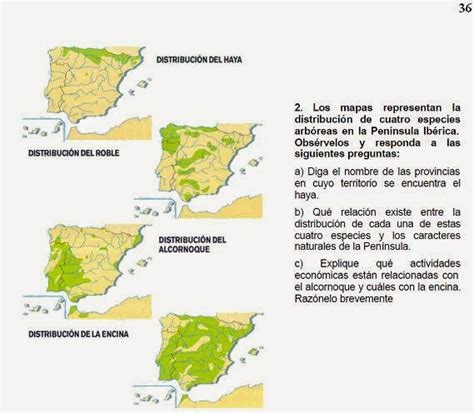 Los ojos de Menardo Ejercicio 36 Mapas de la distribución de cuatro