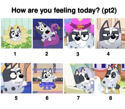 How Are You Feeling Today Pt2 Rbluey