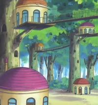 Ciudad Arborada WikiDex la enciclopedia Pokémon