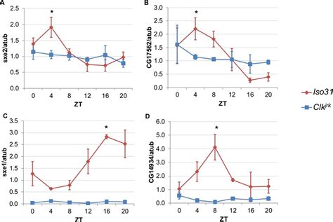 Figures And Data In Neural Clocks And Neuropeptide Fy Regulate