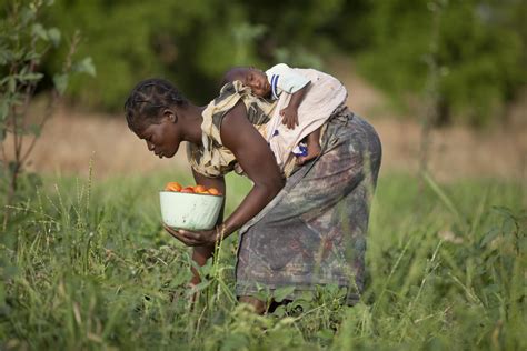 Plant Genetic Resources 7