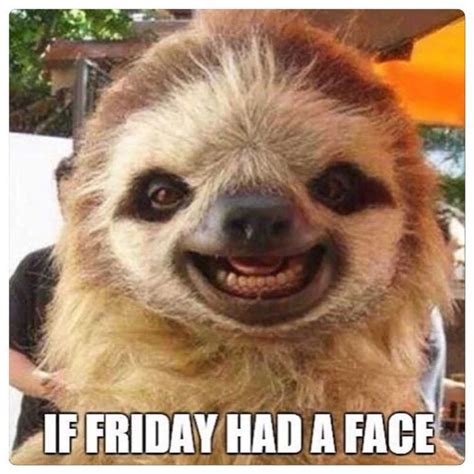 Funny Friday Face Memes | Funny friday memes, Happy friday meme, Friday humor