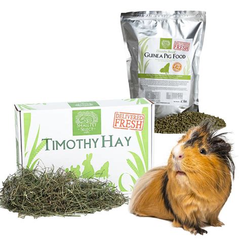 1st Choice In Guinea Pig Products And Supplies Small Pet Select Small