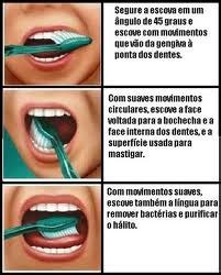 Toatentatudo Escova O Correta Dos Dentes